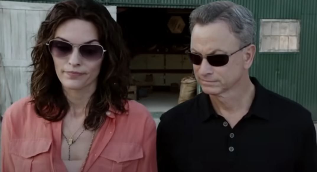 “Criminal Minds: Beyond Borders” (2016-17)