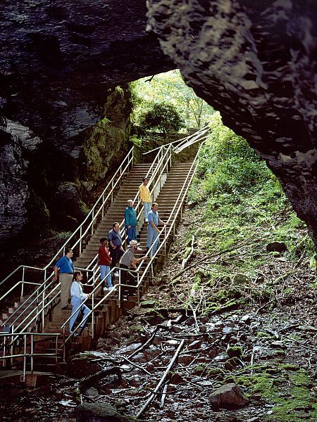 Kentucky — Mammoth Cave National Park