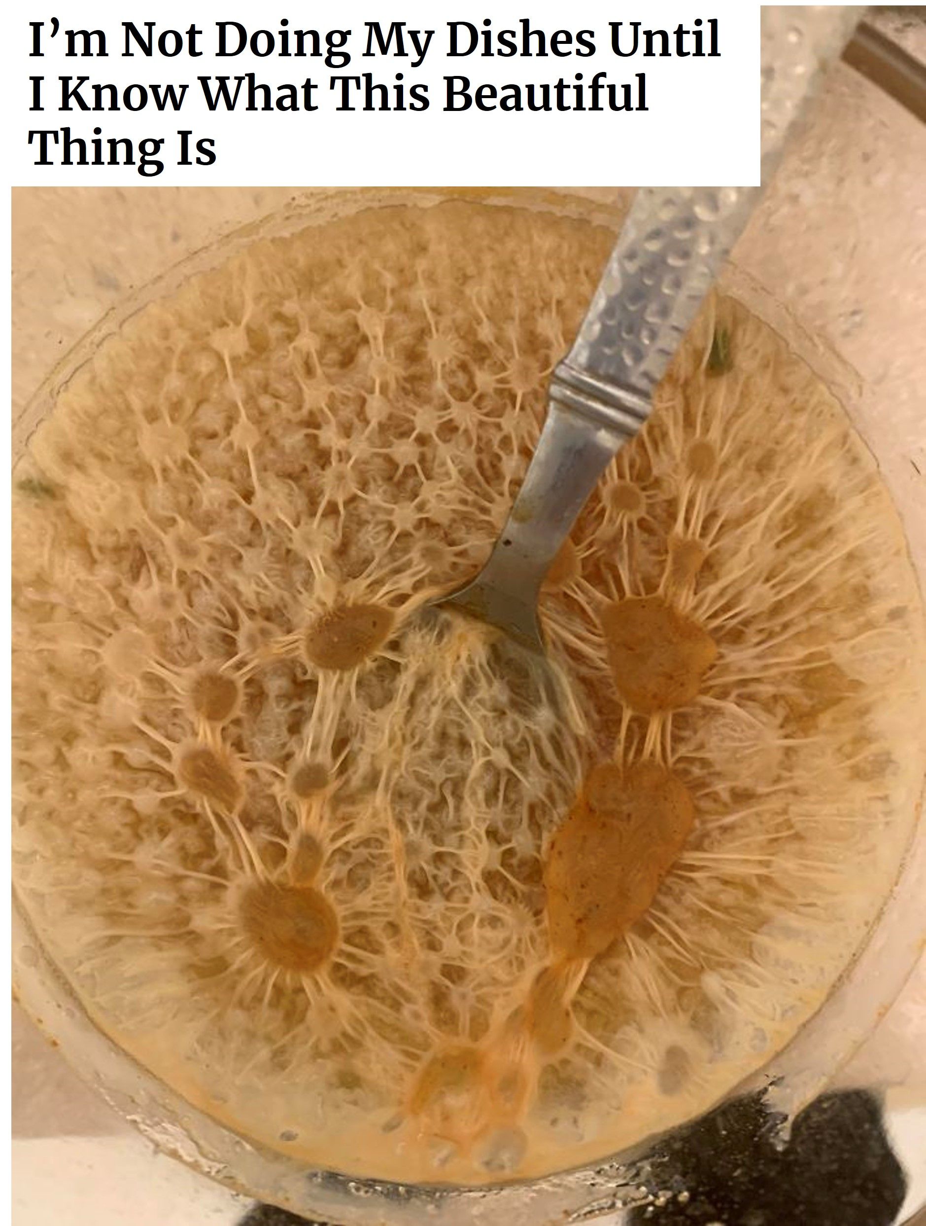 Looks Can Be Deceiving