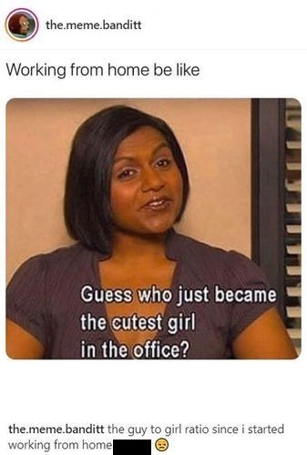 Cutest Person in the Office