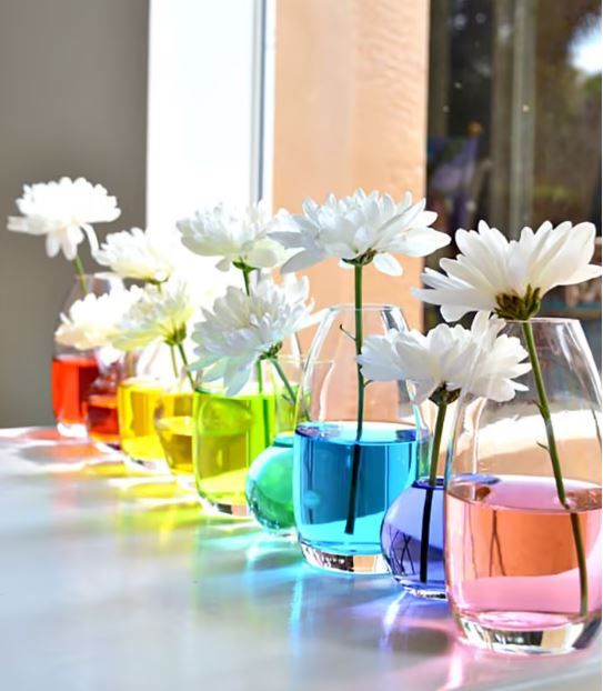 Watch your flowers change colors with this easy hack