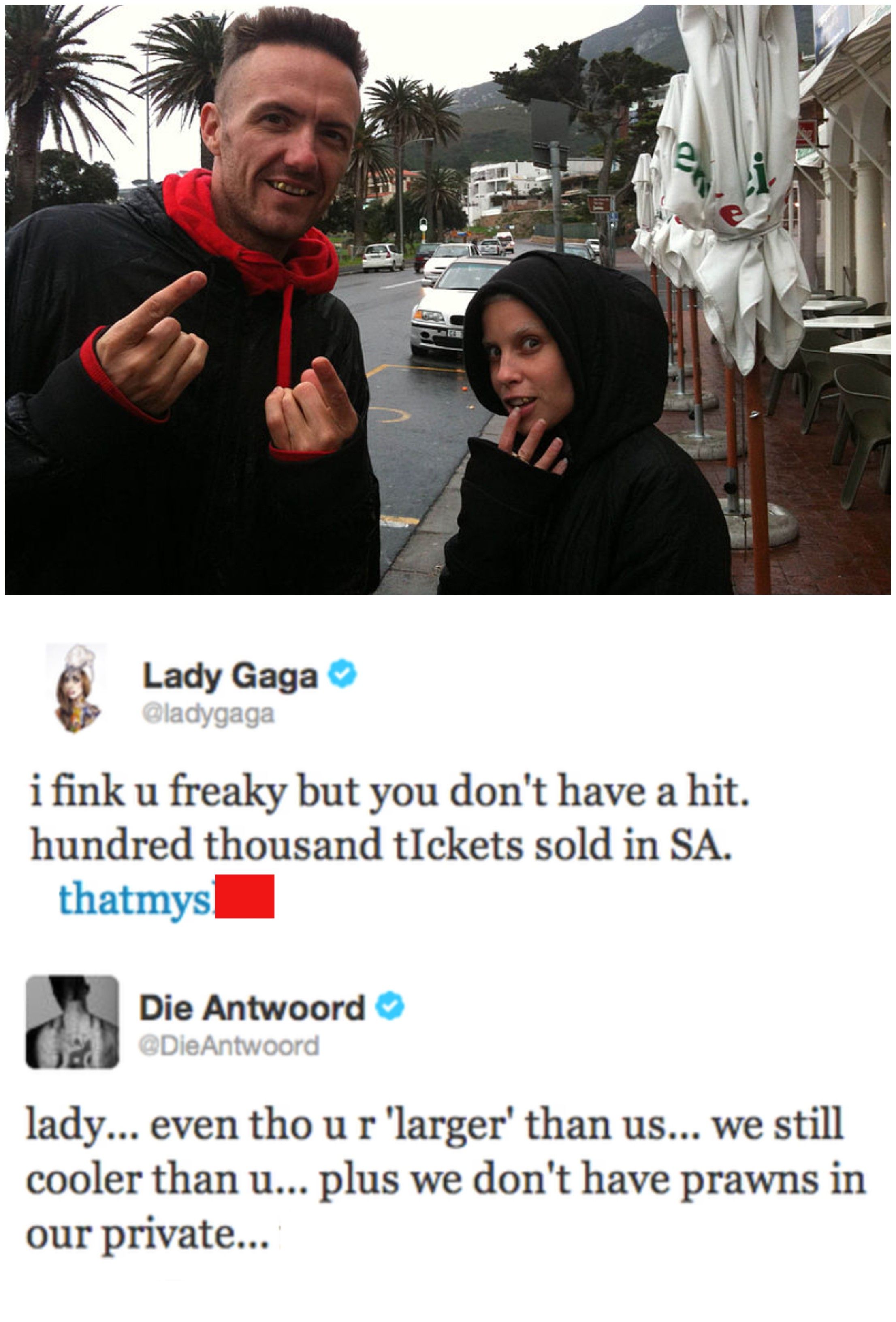 Die Antwoord