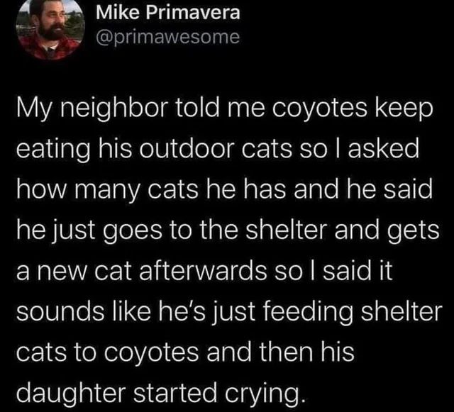 Not a Purr-fect Solution