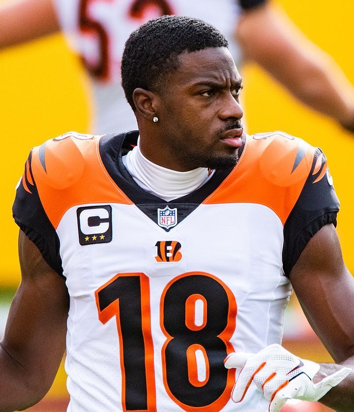 A.J. Green, Instant Bengals Sensation