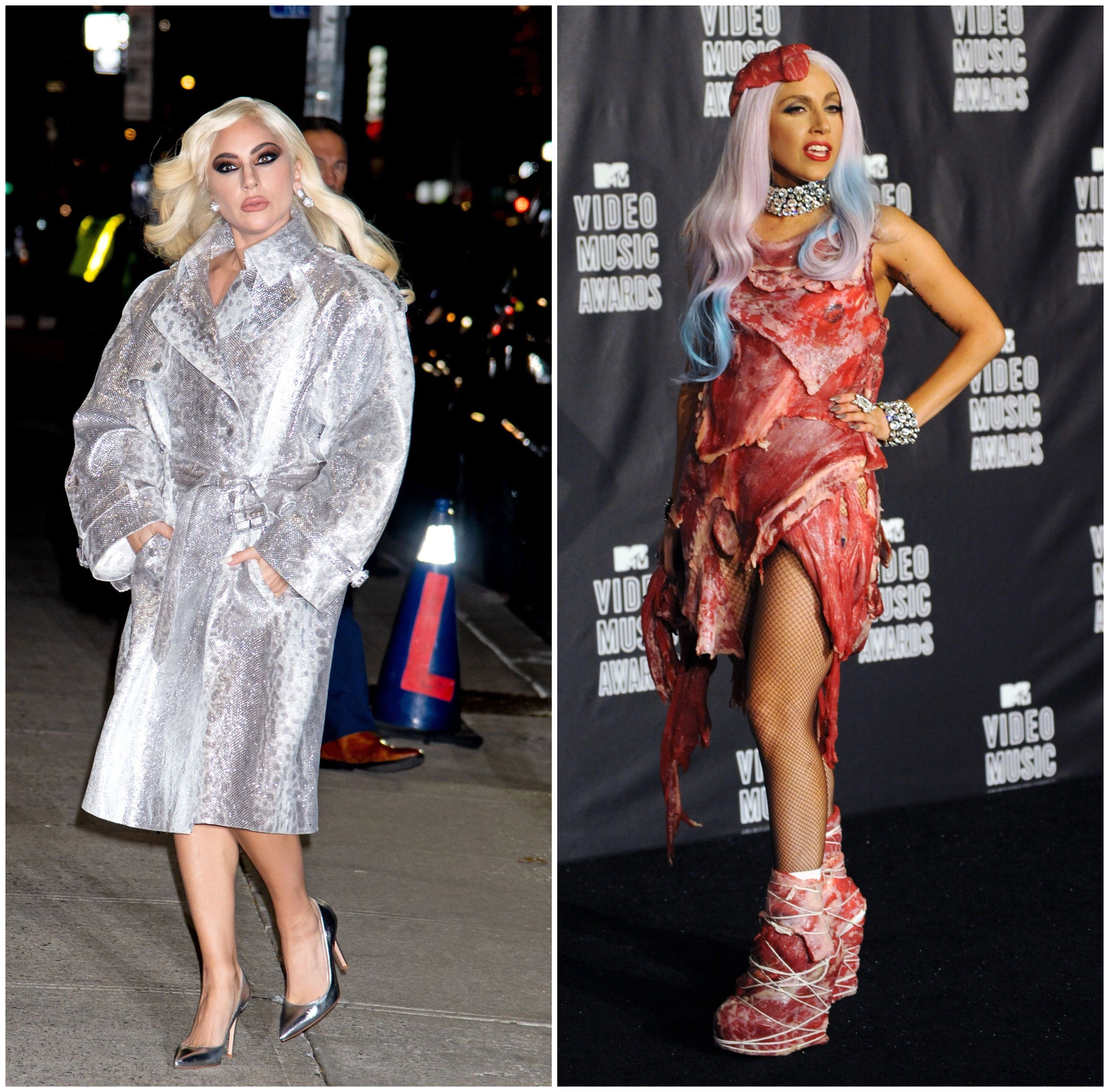 Animal rights activists