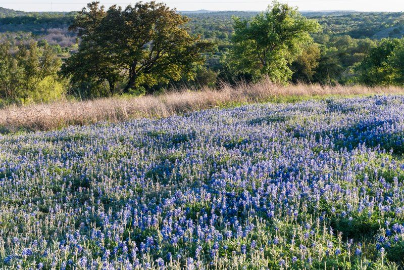Texas — Willow City Loop
