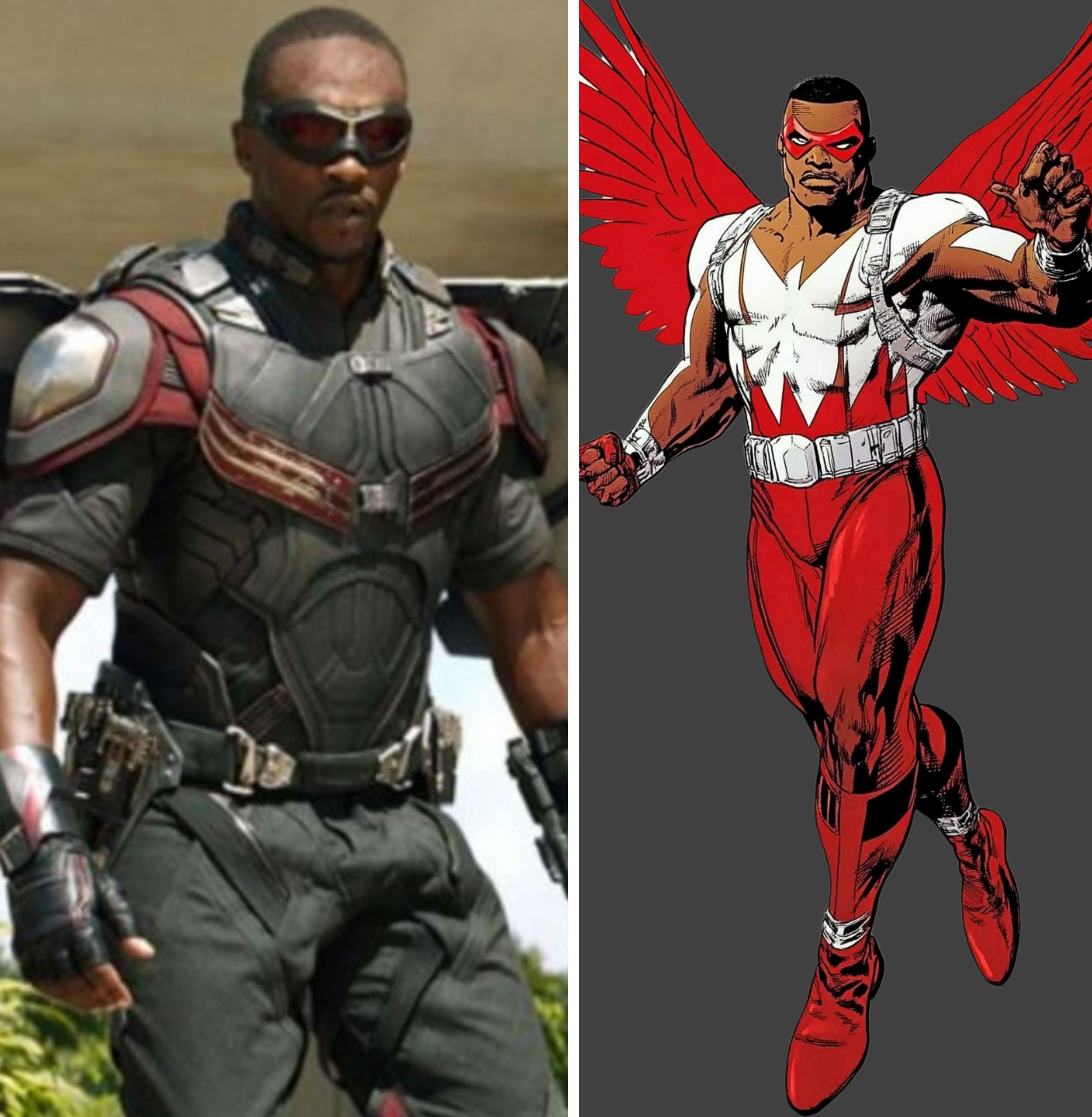 Falcon