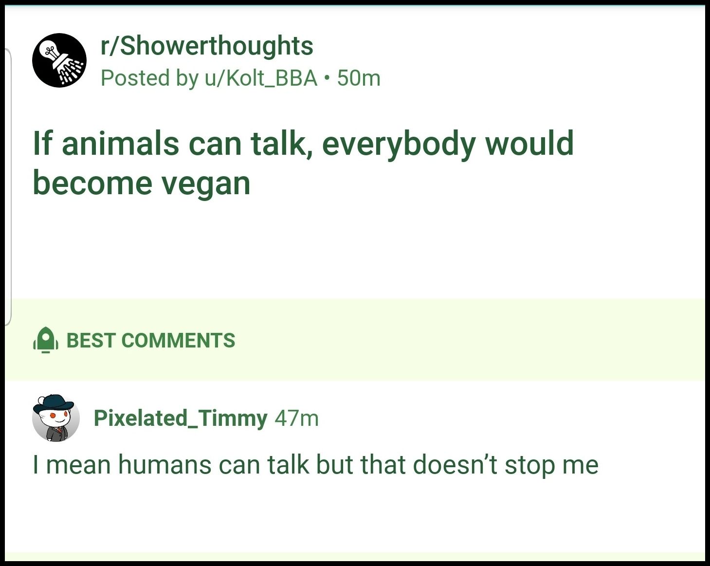 Animal Rights