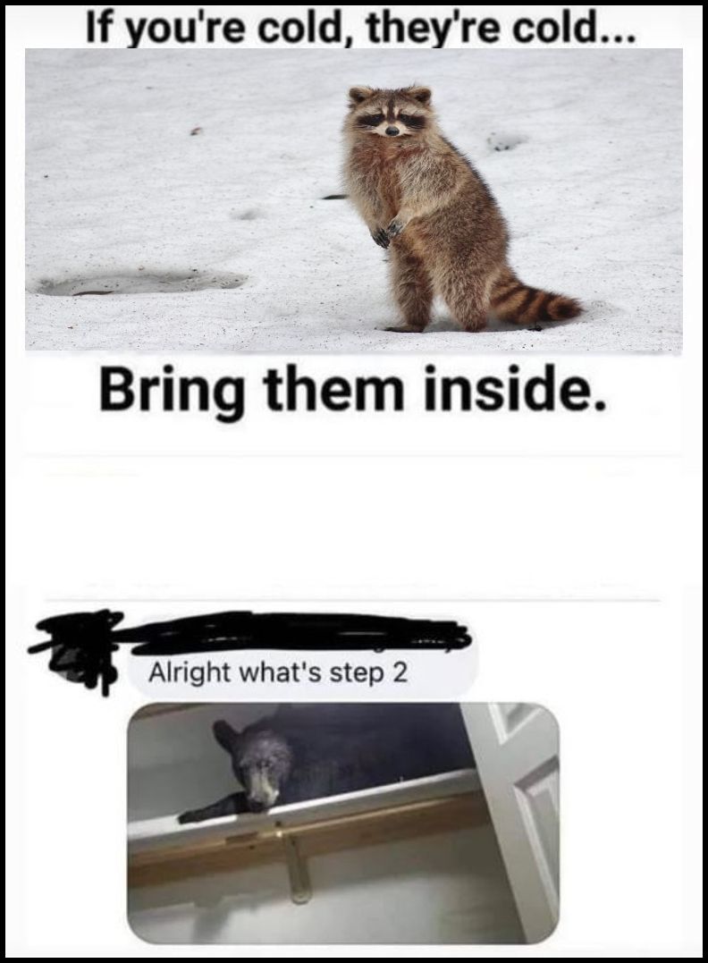 Pets, Wild Animals, And Common Sense