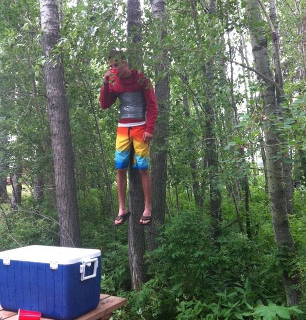Tree Hugger
