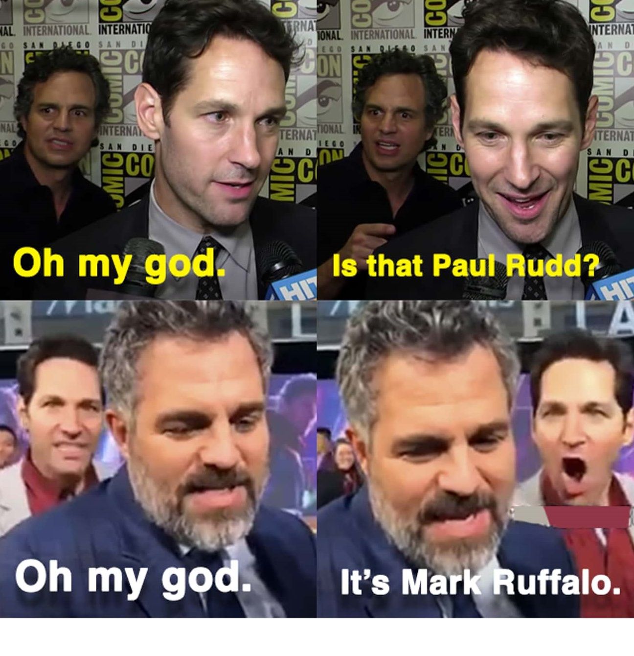 Best Buddies With Mark Ruffalo