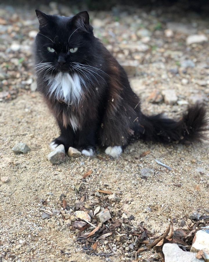 A Cherished Resident