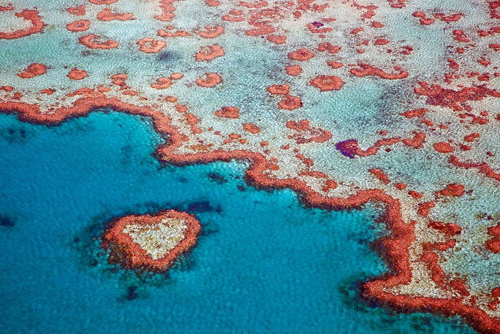 A Heart Can Be Seen At The Great Barrier Reef