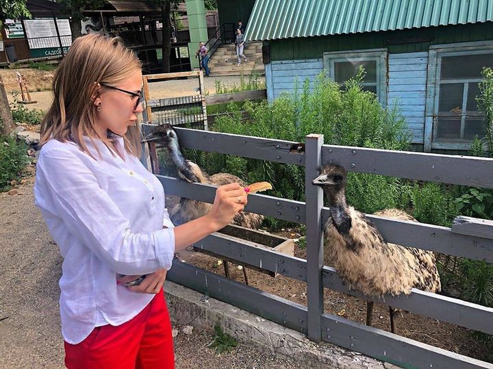 A Home for the Animals