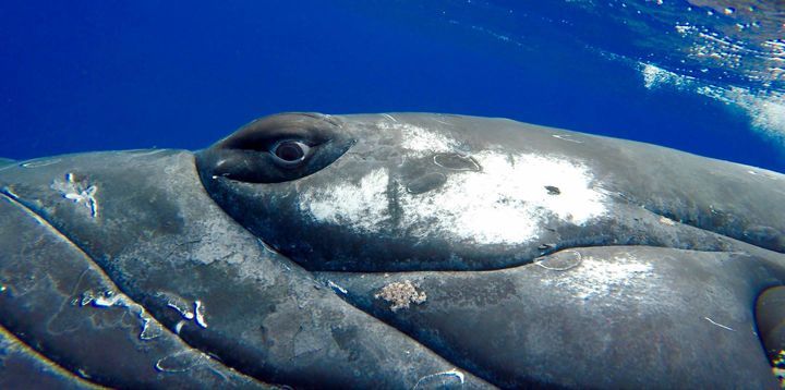 A Horrifying Experience