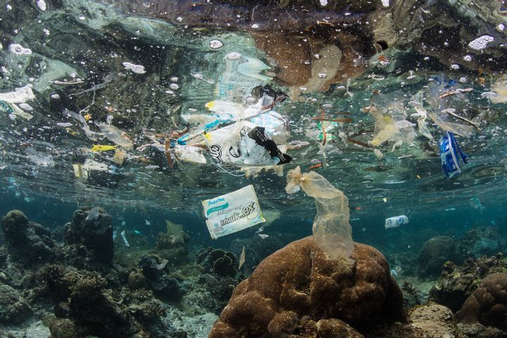 All Rivers Flow to the Sea