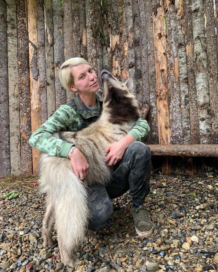 All Types of Animals