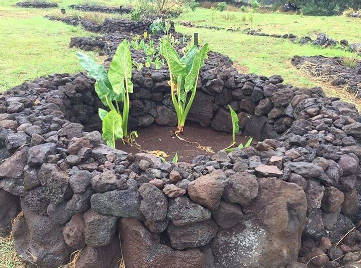 Ancient Gardening Systems