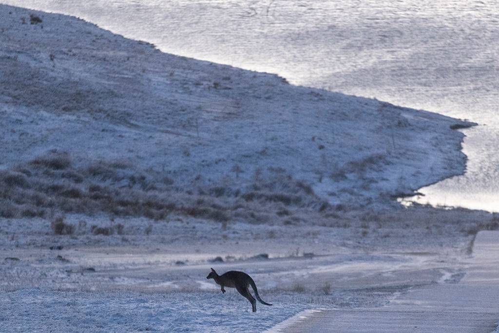 Australia's Alps Get More Snow Than The Swiss Alps