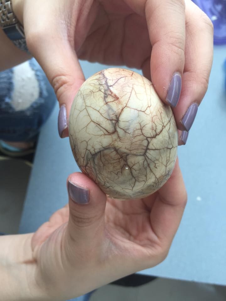 Balut