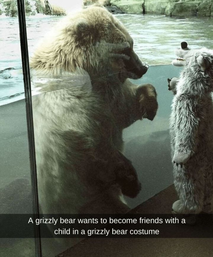 Beary Appreciative