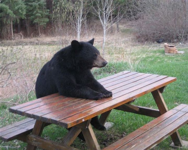 Billy No Mates