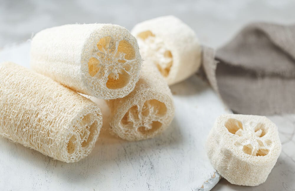 Loofahs: A Brief Overview