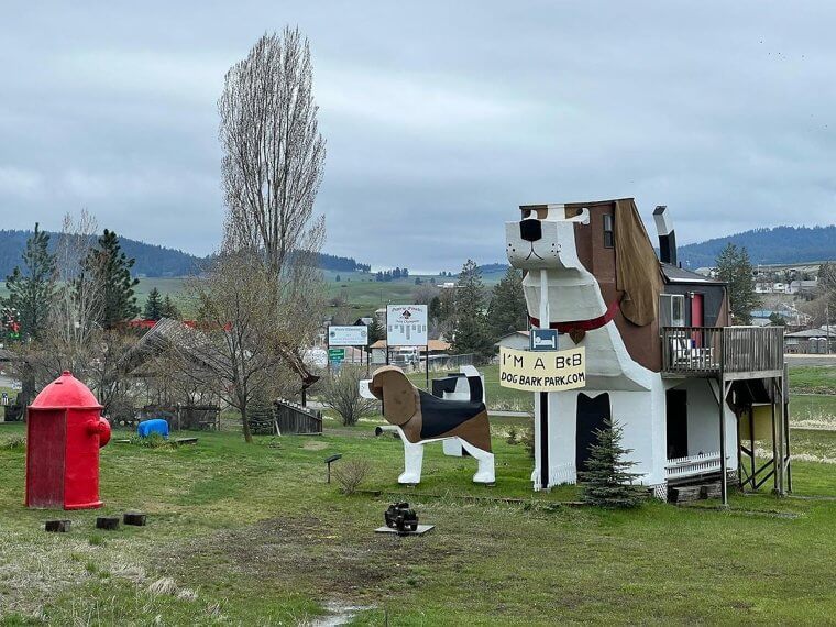 Sleep Inside a Giant Dog Hotel