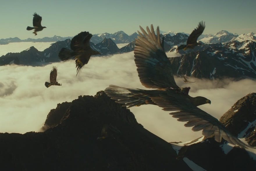 Could’ve used those eagles about 3 movies ago, Gandalf