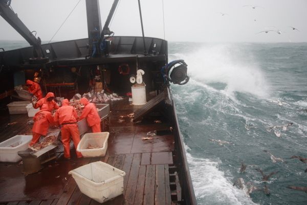Deadliest Catch