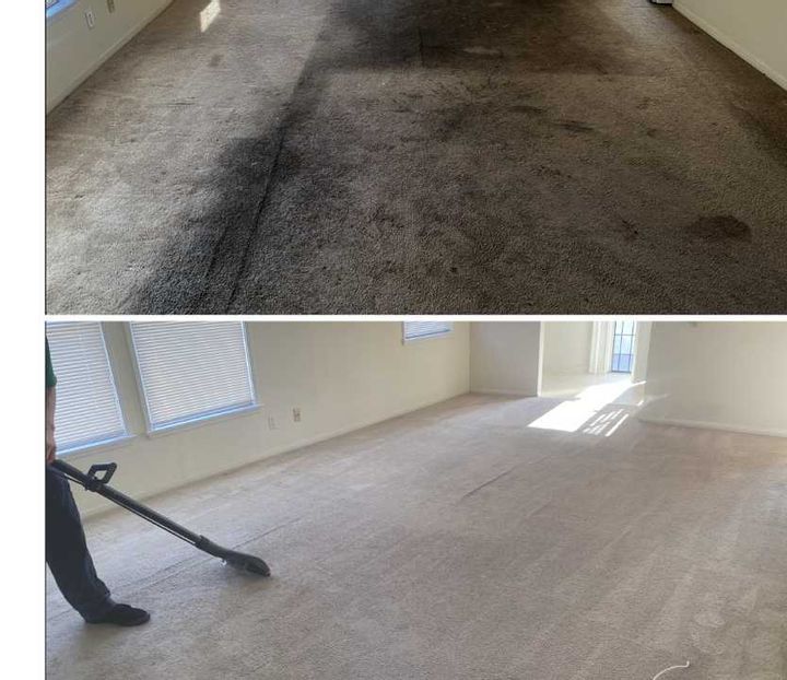 Deep Cleaning Your Carpet: 8 Items Needed