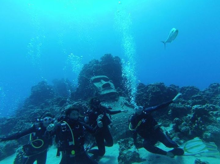 Diving Off the Coast