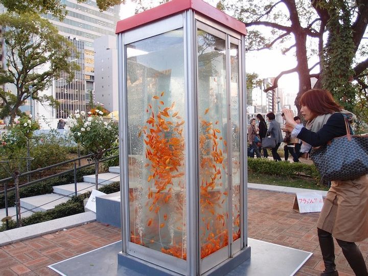 Fish Phone