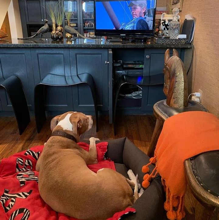 Flipping Frowns Upside Down