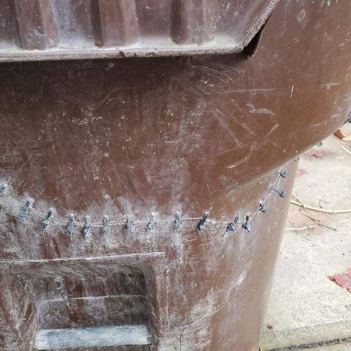 Franken-bin