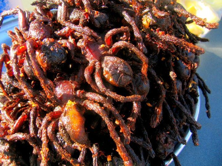 Fried Spider