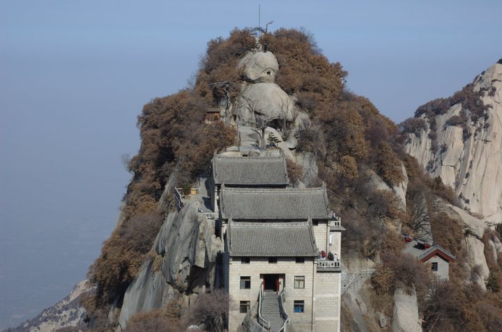 Going to Great Lengths for Tea