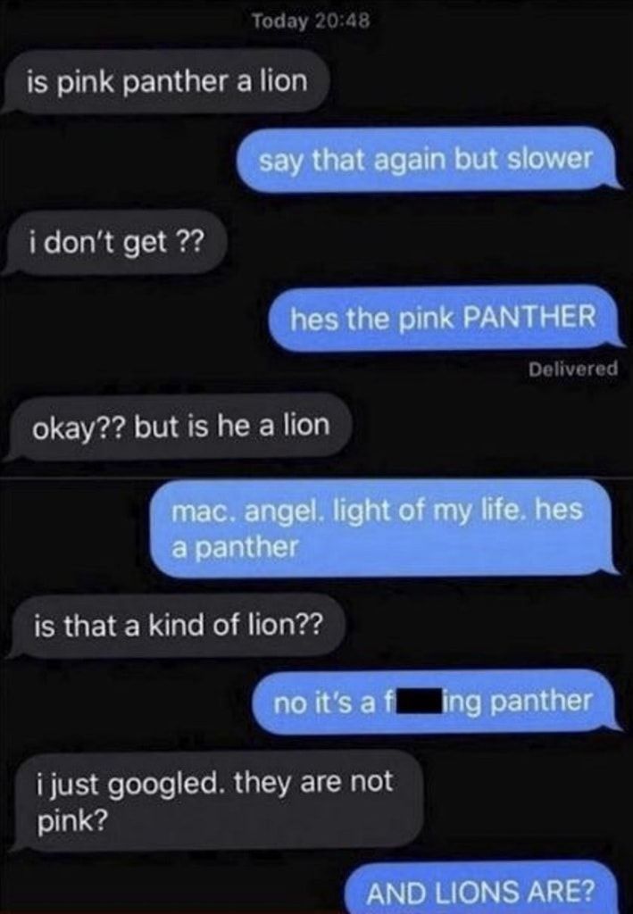 He’s a panther, not a lion