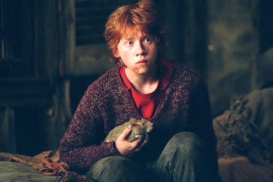 Hey, who’s that strange man that’s always in Ron’s room?