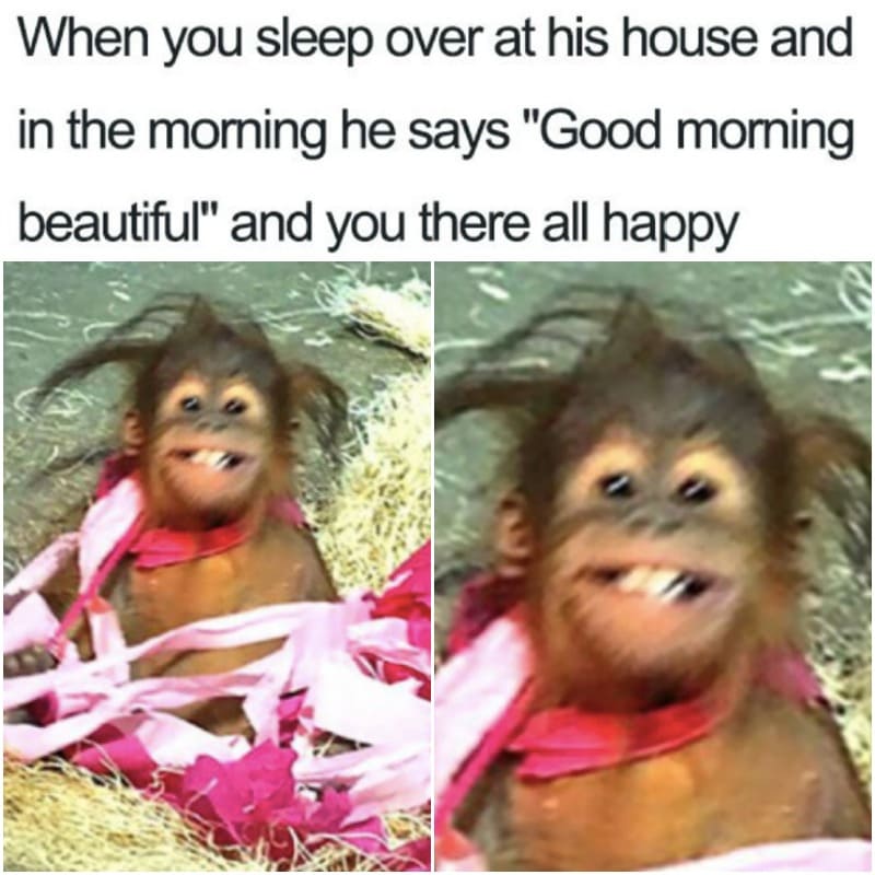 If you call us beautiful, we’ll believe you