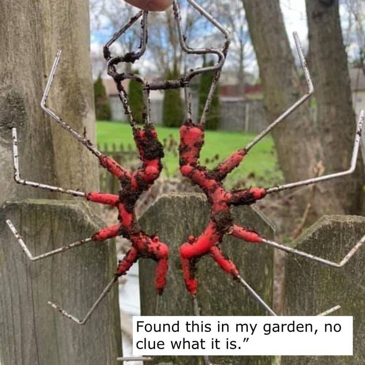 Keeping Critters at Bay