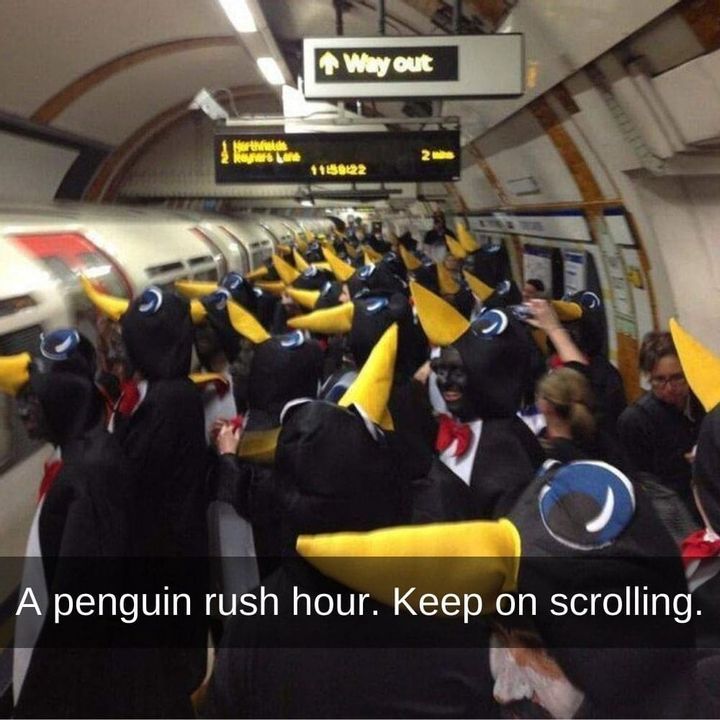 “March of the Penguins”