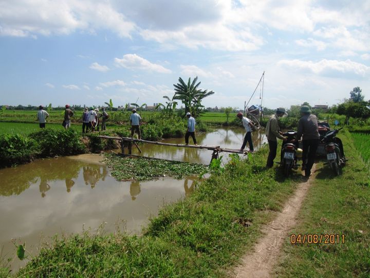 Monkey Bridges (Vietnam)