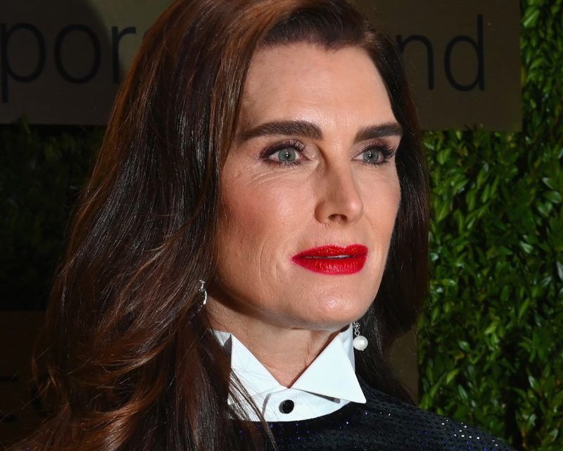 Brooke Shields pauses career for French literature