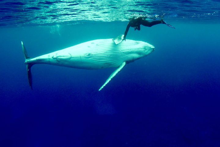 No Signs of Slowing Down