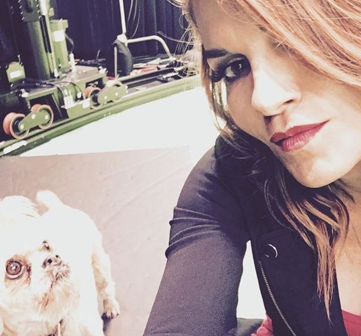 Not a “Bad Guy” in Real Life