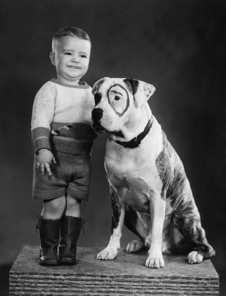 Petey the Dog