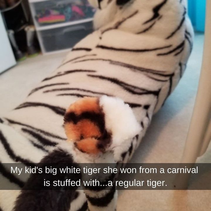 Release Your Inner Tiger