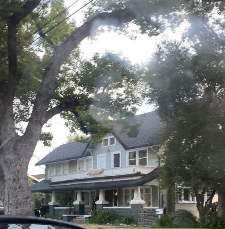 Child's Play 2 | South Pasadena, CA