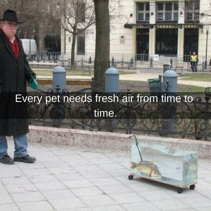 Something’s Fishy